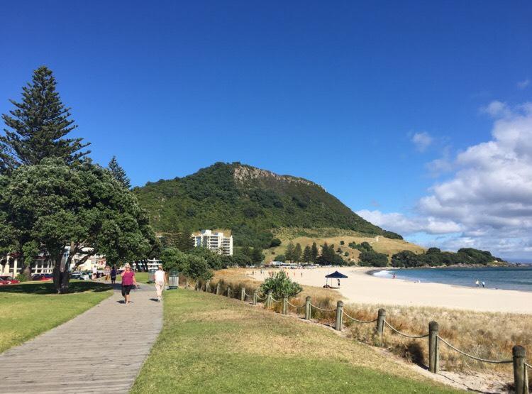 Victoria Road B&B Mount Maunganui Esterno foto